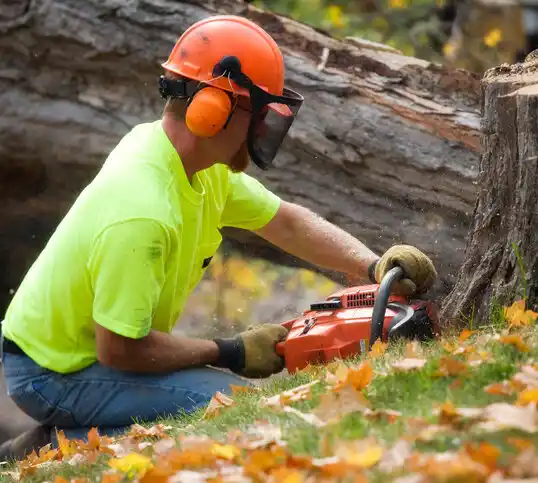 tree services White Oak